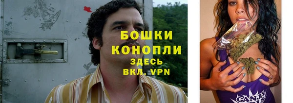 соль ск Заводоуковск