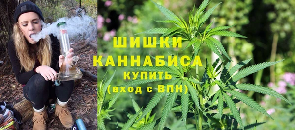 соль ск Заводоуковск