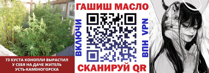 Купить  Полярные Зори  ТГК гашишное масло 
